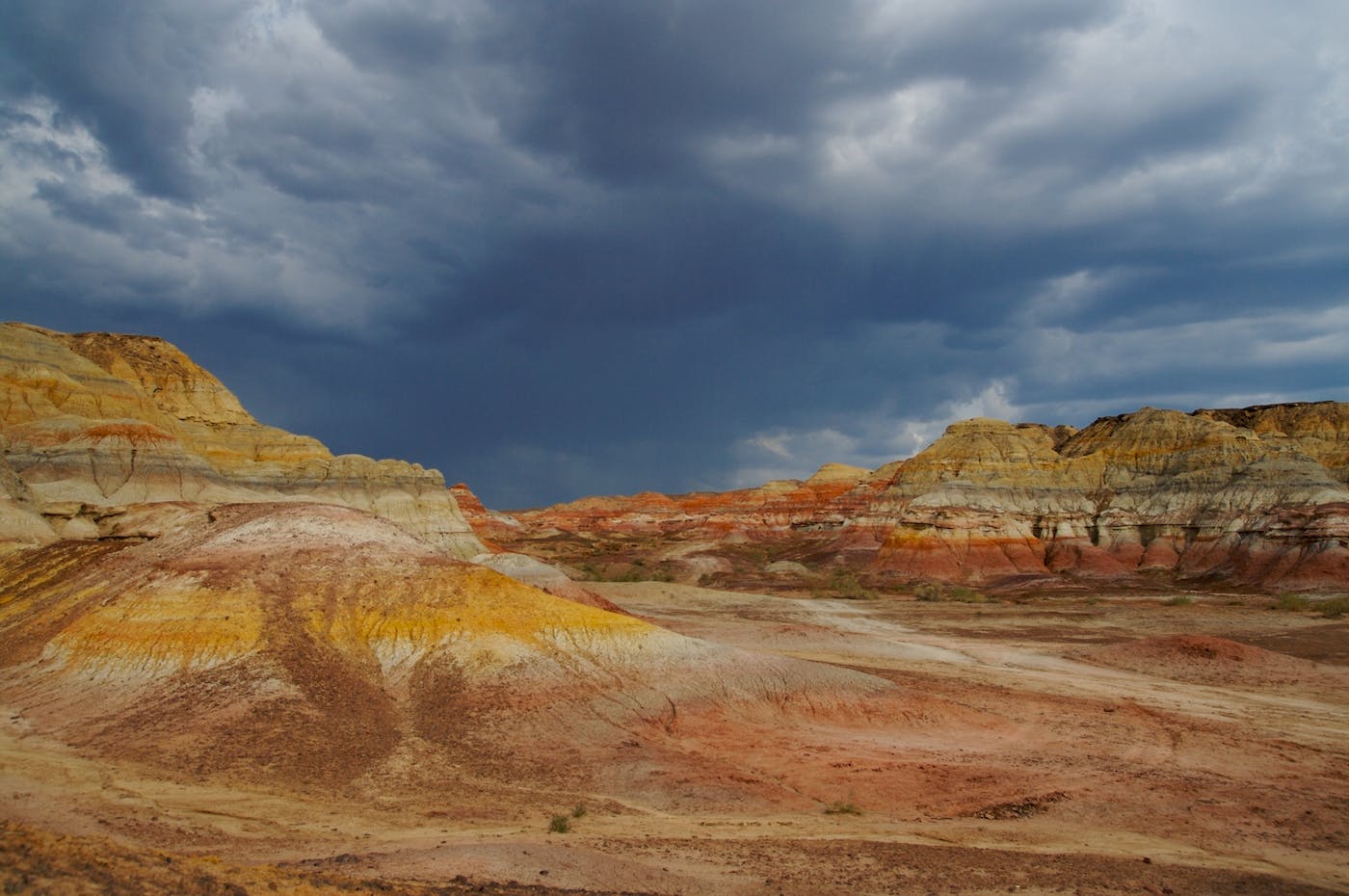 Junggar Semi-Desert & Ermin Valley Steppe (PA38)